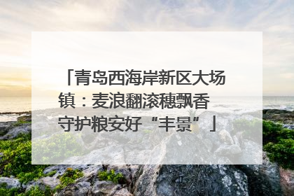 青岛西海岸新区大场镇：麦浪翻滚穗飘香 守护粮安好“丰景”
