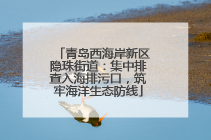 青岛西海岸新区隐珠街道：集中排查入海排污口，筑牢海洋生态防线