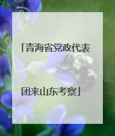 青海省党政代表团来山东考察