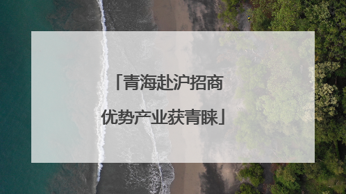 青海赴沪招商 优势产业获青睐