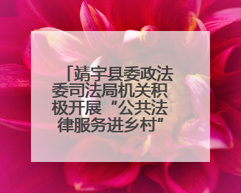 靖宇县委政法委司法局机关积极开展“公共法律服务进乡村”主题活动