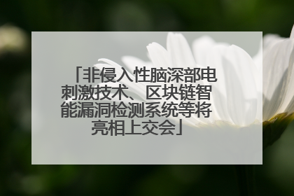 非侵入性脑深部电刺激技术、区块链智能漏洞检测系统等将亮相上交会