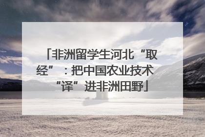 非洲留学生河北“取经”：把中国农业技术“译”进非洲田野