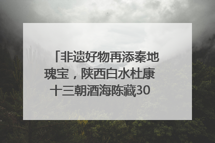 非遗好物再添秦地瑰宝，陕西白水杜康十三朝酒海陈藏30年别具一格