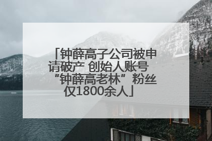 钟薛高子公司被申请破产 创始人账号“钟薛高老林”粉丝仅1800余人