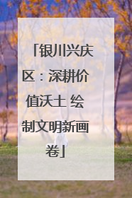 银川兴庆区：深耕价值沃土 绘制文明新画卷