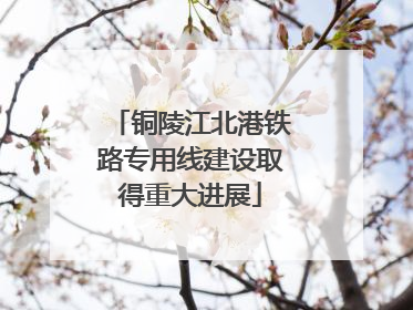 铜陵江北港铁路专用线建设取得重大进展