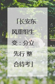 长安东风重组生变：分立先行 整合待考
