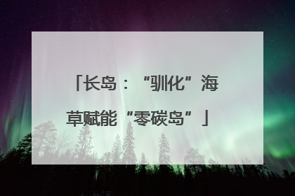 长岛：“驯化”海草赋能“零碳岛”