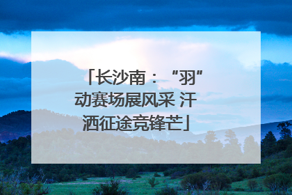 长沙南：“羽”动赛场展风采 汗洒征途竞锋芒