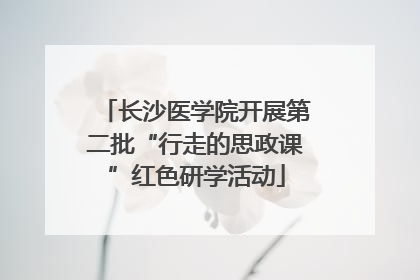 长沙医学院开展第二批“行走的思政课”红色研学活动