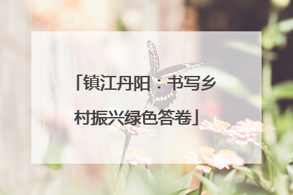 镇江丹阳：书写乡村振兴绿色答卷