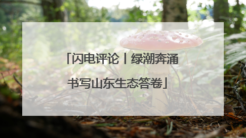 闪电评论丨绿潮奔涌 书写山东生态答卷