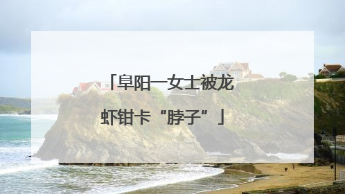 阜阳一女士被龙虾钳卡“脖子”