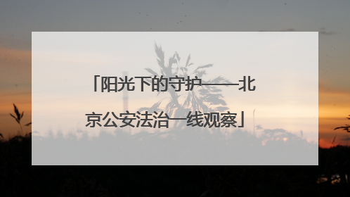 阳光下的守护——北京公安法治一线观察