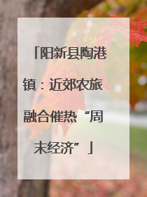 阳新县陶港镇：近郊农旅融合催热“周末经济”