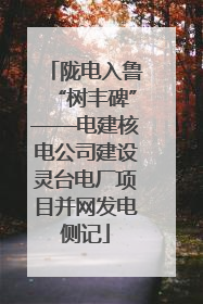 陇电入鲁“树丰碑”——电建核电公司建设灵台电厂项目并网发电侧记
