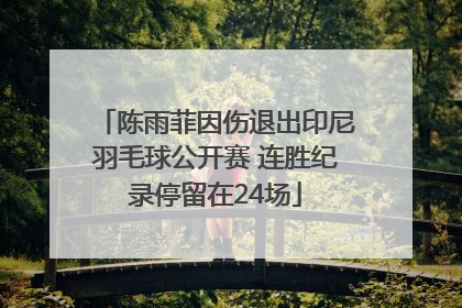 陈雨菲因伤退出印尼羽毛球公开赛 连胜纪录停留在24场