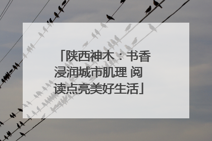 陕西神木：书香浸润城市肌理 阅读点亮美好生活