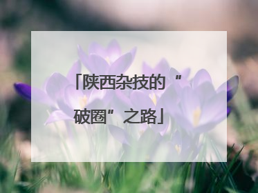 陕西杂技的“破圈”之路