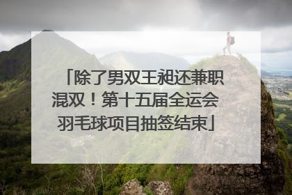 除了男双王昶还兼职混双！第十五届全运会羽毛球项目抽签结束