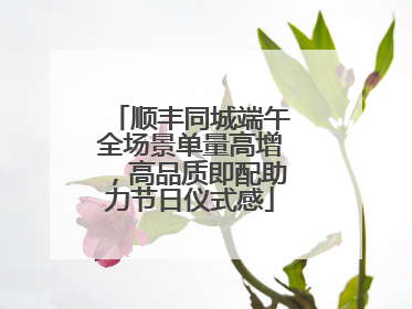 顺丰同城端午全场景单量高增，高品质即配助力节日仪式感