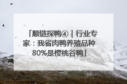 顺链探鸭④｜行业专家：我省肉鸭养殖品种80%是樱桃谷鸭