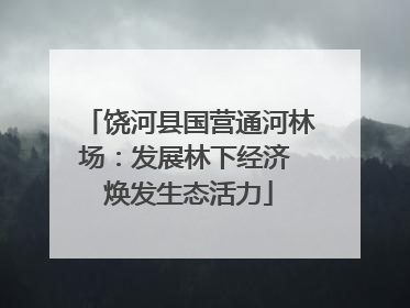 饶河县国营通河林场：发展林下经济 焕发生态活力