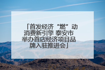 首发经济“燃”动消费新引擎 泰安市举办首店经济项目品牌入驻推进会