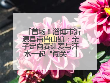 首场！淄博市沂源县南鲁山镇：亲子定向赛让爱与汗水一起“闯关”