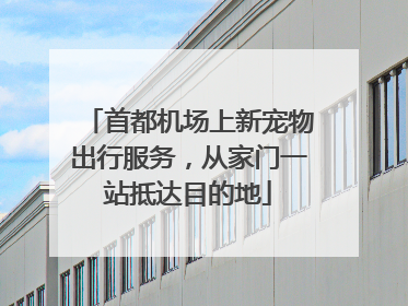 首都机场上新宠物出行服务，从家门一站抵达目的地