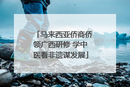马来西亚侨商侨领广西研修 学中医看非遗谋发展