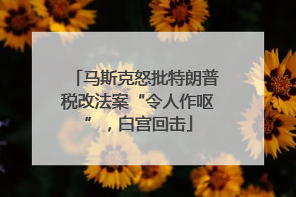 马斯克怒批特朗普税改法案“令人作呕”，白宫回击