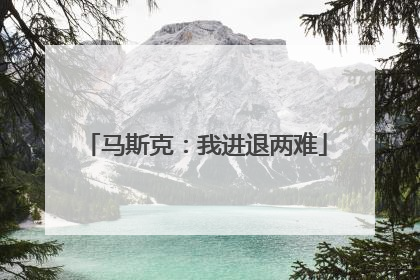 马斯克：我进退两难