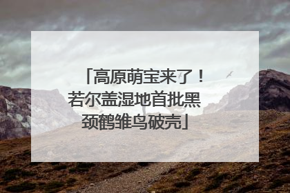 高原萌宝来了！若尔盖湿地首批黑颈鹤雏鸟破壳