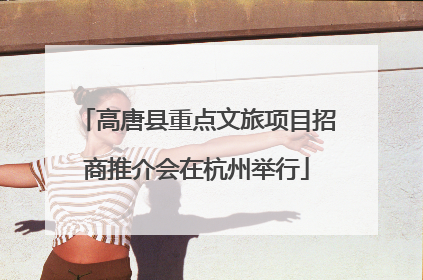 高唐县重点文旅项目招商推介会在杭州举行
