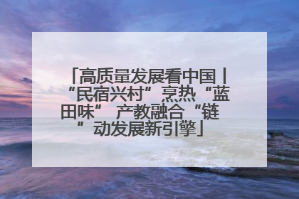 高质量发展看中国丨“民宿兴村”烹热“蓝田味” 产教融合“链”动发展新引擎