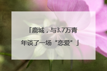 鹿城，与3.7万青年谈了一场“恋爱”