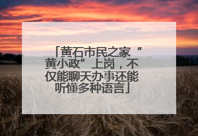 黄石市民之家“黄小政”上岗，不仅能聊天办事还能听懂多种语言