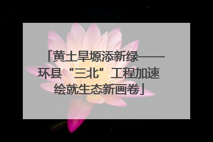 黄土旱塬添新绿——环县“三北”工程加速绘就生态新画卷