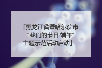 黑龙江省暨哈尔滨市“我们的节日·端午”主题示范活动启动