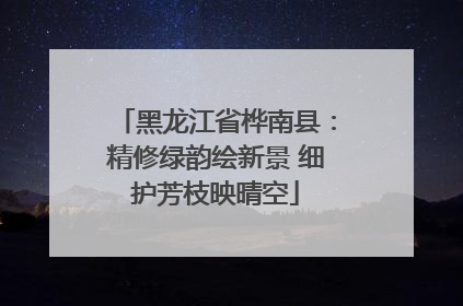 黑龙江省桦南县：精修绿韵绘新景 细护芳枝映晴空