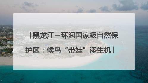 黑龙江三环泡国家级自然保护区：候鸟“带娃”添生机