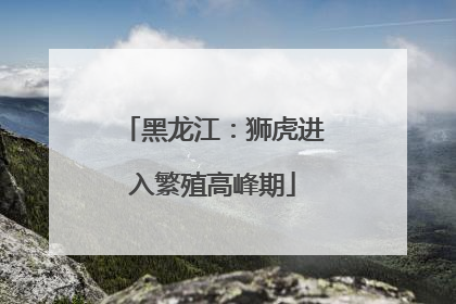 黑龙江：狮虎进入繁殖高峰期