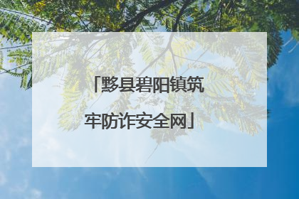 黟县碧阳镇筑牢防诈安全网