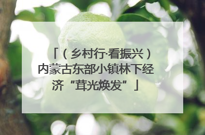 （乡村行·看振兴）内蒙古东部小镇林下经济“茸光焕发”