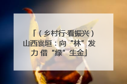 （乡村行·看振兴）山西襄垣：向“林”发力 借“绿”生金