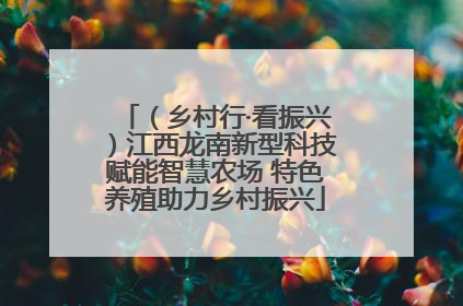 （乡村行·看振兴）江西龙南新型科技赋能智慧农场 特色养殖助力乡村振兴