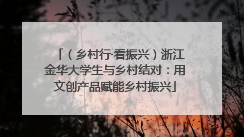 （乡村行·看振兴）浙江金华大学生与乡村结对：用文创产品赋能乡村振兴