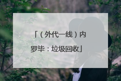 （外代一线）内罗毕：垃圾回收